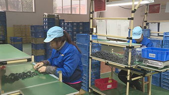 澤瀚實(shí)業(yè) 項(xiàng)目生產(chǎn)忙，平面設(shè)計(jì)鑄就品牌新篇章